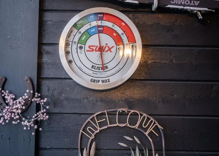 דירה Supersentralt Out *