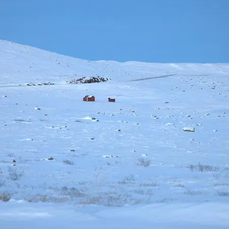 Apartman Supersentralt Out